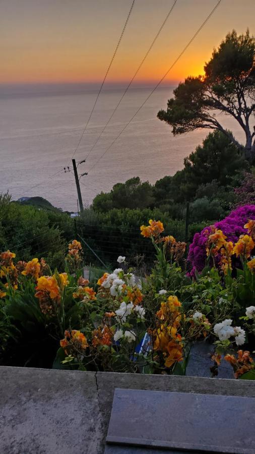 Frühstückspension Bb La Guardiia Anacapri (Isola di Capri)